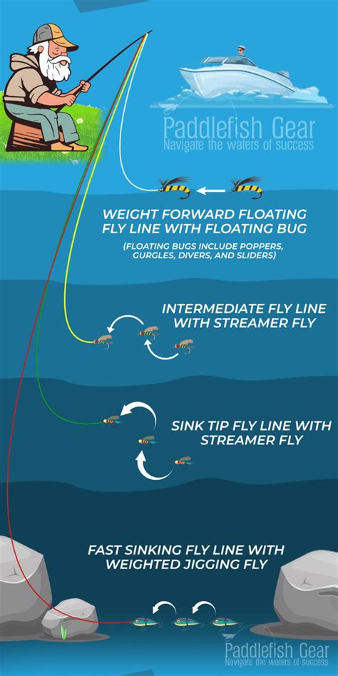 BASS FISHING With Fly Rod: Where, When, And How-To Guide