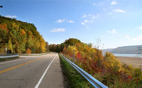 Scenic Drive stock photo. Image of avenue, path, alley - 6794342