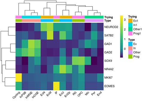 Chapter 9 Heatmap Color Palette | Single Cell Multi-Omics Data Analysis