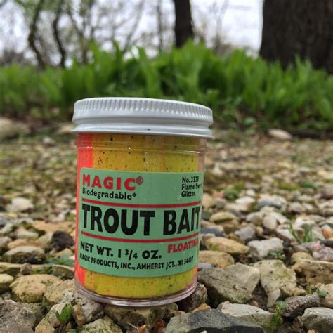 The Best Bait for Trout & Where to Find Them: Trout Fishing 101 | Trout ...