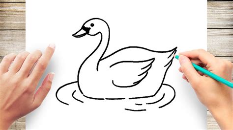 How To Draw A Baby Swan