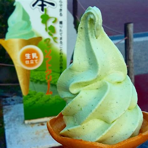 Wasabi Ice Cream : r/icecream