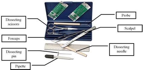 Marine Biologist Tools And Equipment