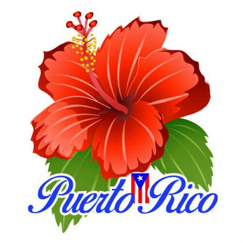 PUERTO RICO FLAG on Fire Sticker Decal Bandera Boricua - Etsy