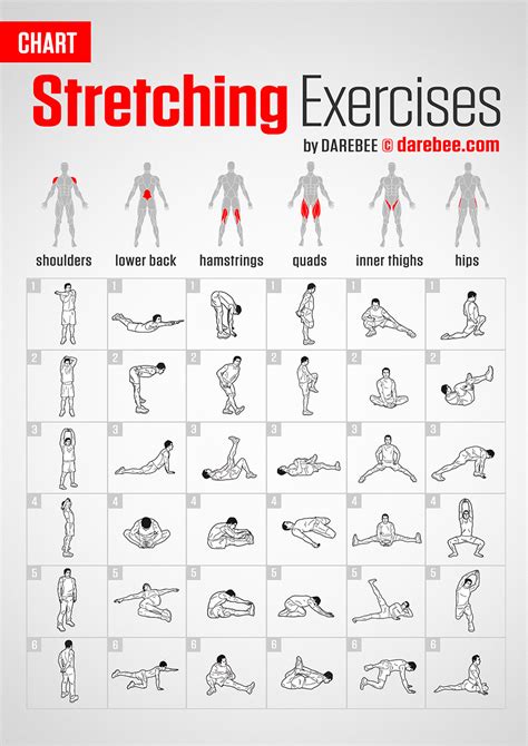 Stretching Exercises | Chart | Flexibility workout, Gym workout chart ...