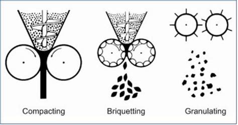 Dry Granulation: The Definitive Guide - SaintyTec