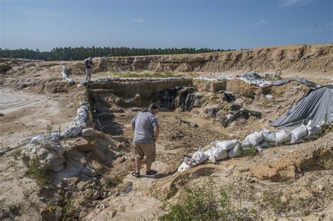 Calling aspiring fossil hunters: Levy County excavation opens to ...