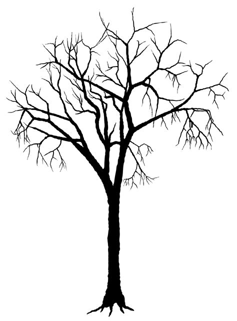 Tree Silhouette Images - Cliparts.co