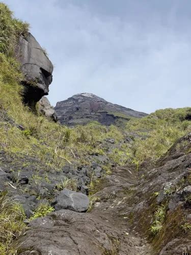 Best Hikes and Trails in Mayon Volcano Natural Park | AllTrails