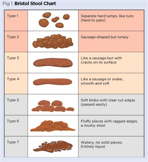 Faecal Chart