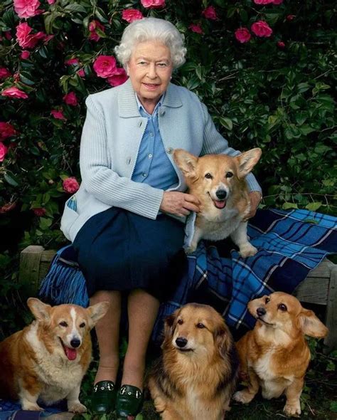 The Queen's 64 Corgis and dorgis and the names she gave them all ...