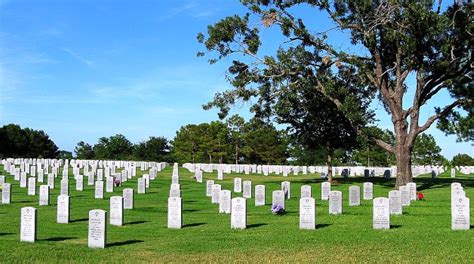 Addressing Reports on the Houston National Cemetery - VA News