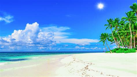 Sunshine Beach Wallpapers - Top Free Sunshine Beach Backgrounds ...