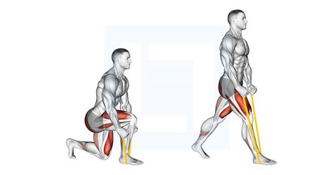 Resistance Band Split Squat - Guide, Benefits, and Form