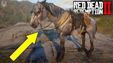 ULTRA RAREST HORSES IN Red Dead Redemption 2 (RDR 2 rare horse location ...