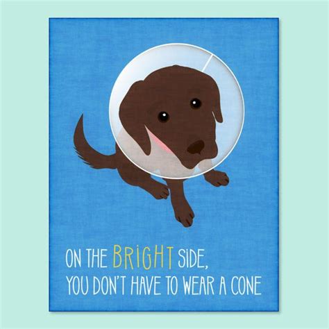 Funny Dog Greeting Card, Get Well Soon | Funny get well cards, Get well ...