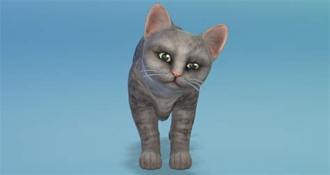 The Sims 4: Cats & Dogs Review - Sims Online