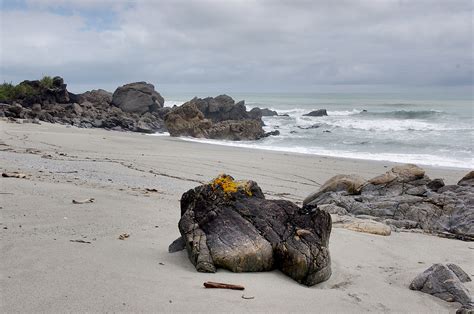 2014-01-29_14-46-51_NZ_driftwood_beach | beach with beautifu… | Flickr