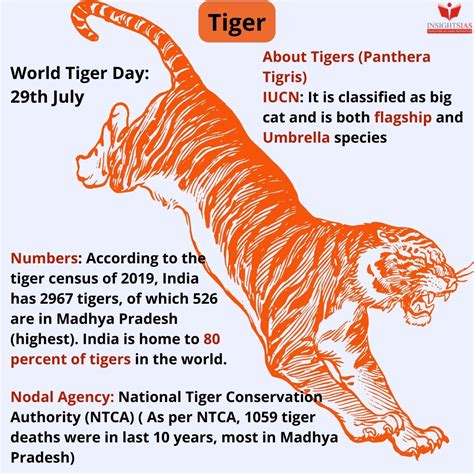 What numbers do not reveal about tiger conservation - INSIGHTS IAS ...