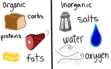 Organic vs. Inorganic Molecules — Definition & Overview - Expii