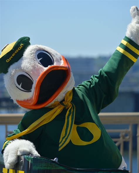 Favorite NCAA mascot The Oregon Duck! Duck Wallpaper, Blue Butterfly ...