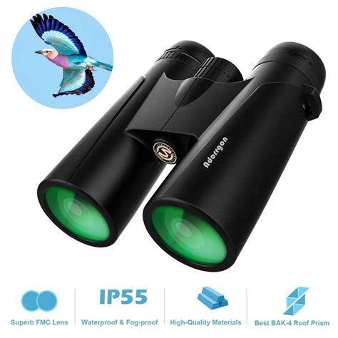 The Best Binoculars For Bird Watching