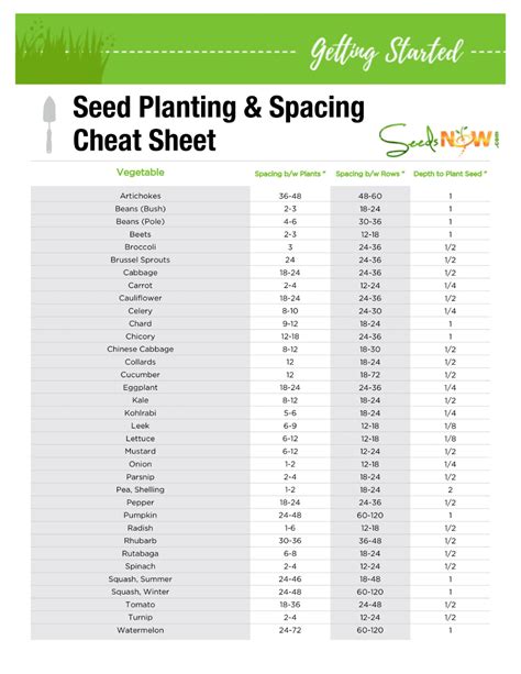 Seed Planting & Spacing Cheat Sheet | Planting seeds, Garden seeds ...