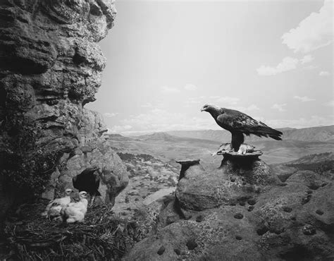 Hiroshi Sugimoto: Dioramas | MONOVISIONS