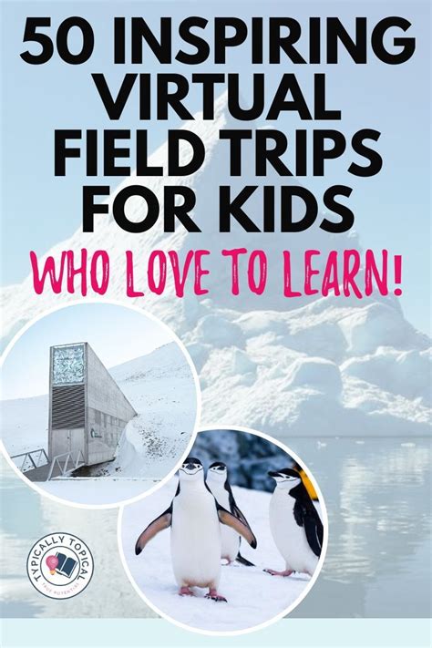 On the hunt for some fun and entertaining homeschool activities? We've ...