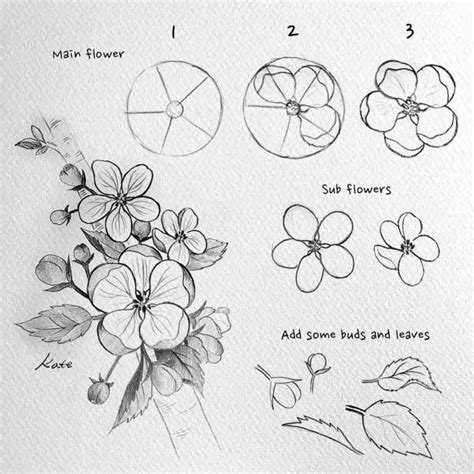 How to draw flowers | Flower drawing tutorials, Flower drawing, Flower ...