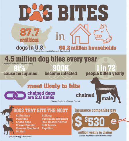 Infographic shows statistics about dog bites