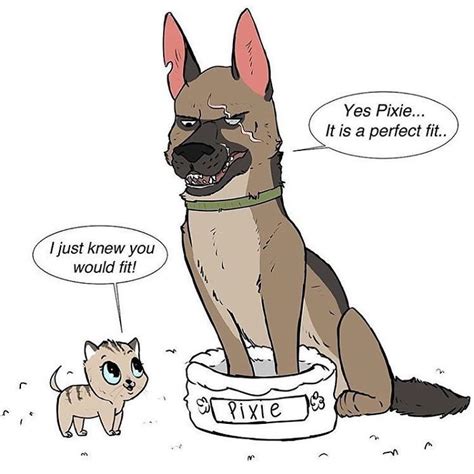 Comics-Adventures-Dogs-Pixie-Brutus-Fan-Art | Funny animal comics, Dog ...