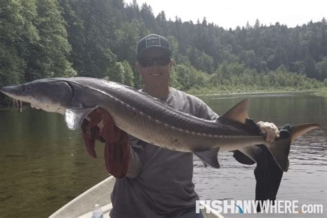 North Saskatchewan River Fishing Charters & Guides | FishAnywhere