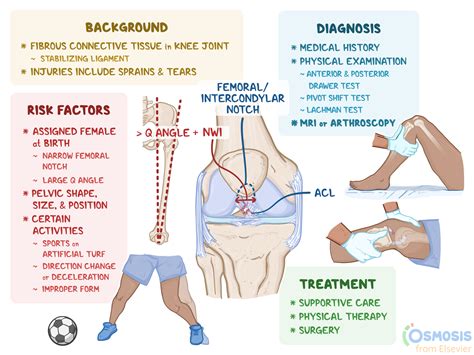 Acl Knee Injury