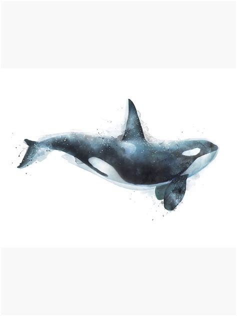 "Orca" Poster by AmyHamilton | Redbubble