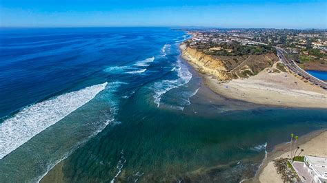 Del Mar Dog Beach A Local San Diego Favorite