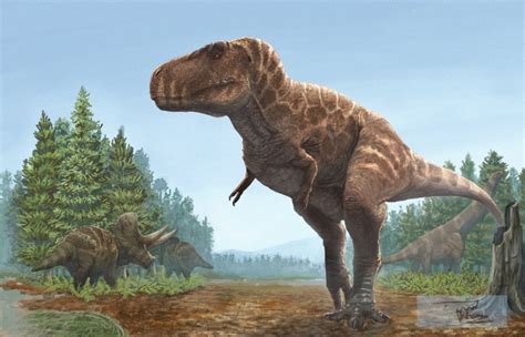 ¿What species coexisted with tyrannosaurus mcraeensis? : r/Paleontology