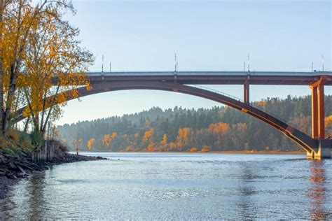 12 ICONIC Bridges in Portland, Oregon (With Facts & Photos)