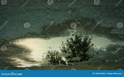 Reflection in the pond stock photo. Image of outside - 194016846