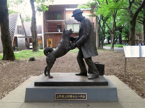 10 things you didn't know about Hachiko, Japan's most loyal dog