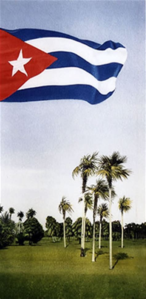 Cuban Flag Painting at PaintingValley.com | Explore collection of Cuban ...