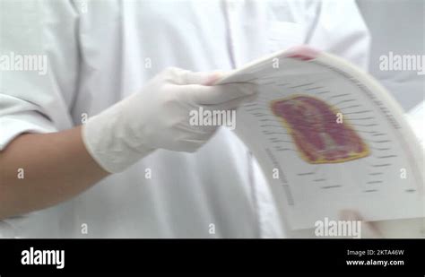 Anatomy of a crime Stock Videos & Footage - HD and 4K Video Clips - Alamy