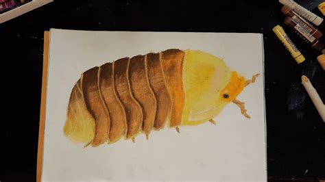 Rubber Ducky Isopod : r/IsopodArt