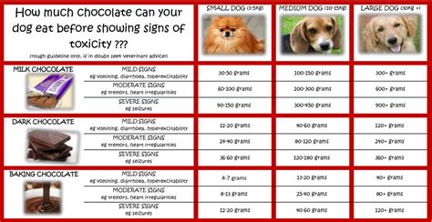 Chocolate toxicity - Bohle Veterinary Surgery