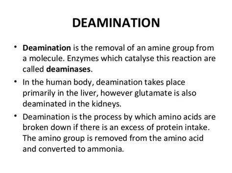 TRANSDEAMINATION AND DEAMINATION