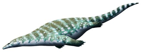 simosauridae – Nix Illustration