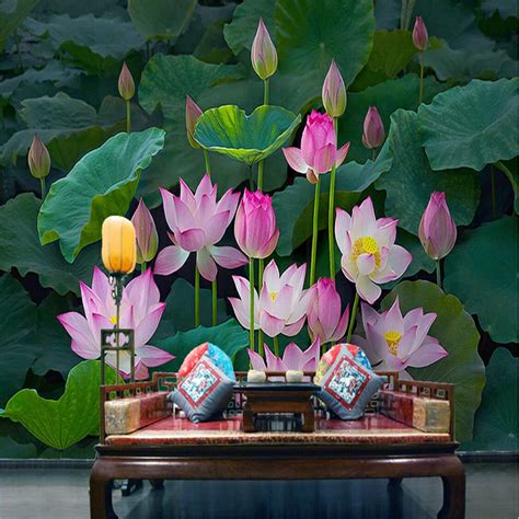 Lotus Pond Wallpaper