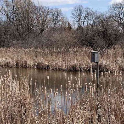 Brickyard Trail at Sandra L. Frankel Nature Park - Day Trips Around ...