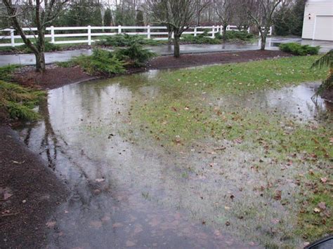 1000+ images about Yard Flooding Solutions on Pinterest | Yard drainage ...