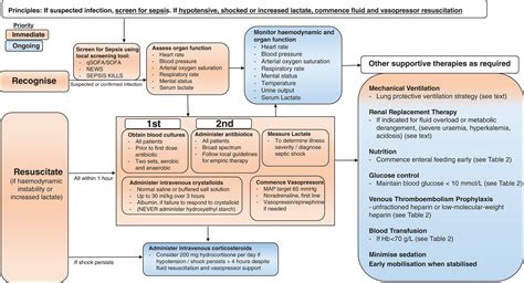 Pathway Syok Sepsis – DIKBUD